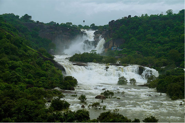 Indica Rental Tirunelveli